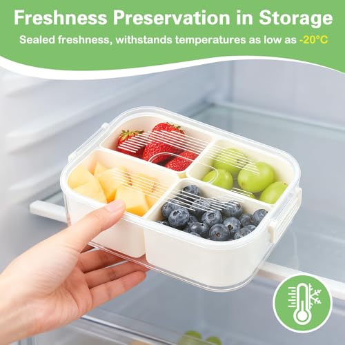 ECHOBUY 2 Set Snackbox mit 4 Fächern